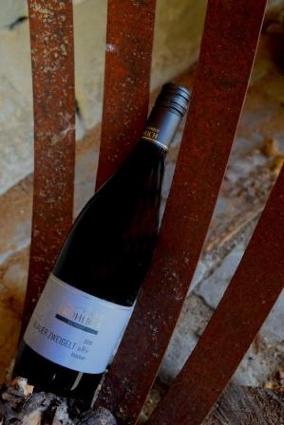 2019 Blauer Zweigelt  R ;Qualitätswein trocken, im Holzfass gereift - Rotwein;